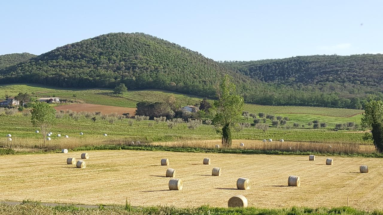 Agriturismo Cupido Montiano  Buitenkant foto